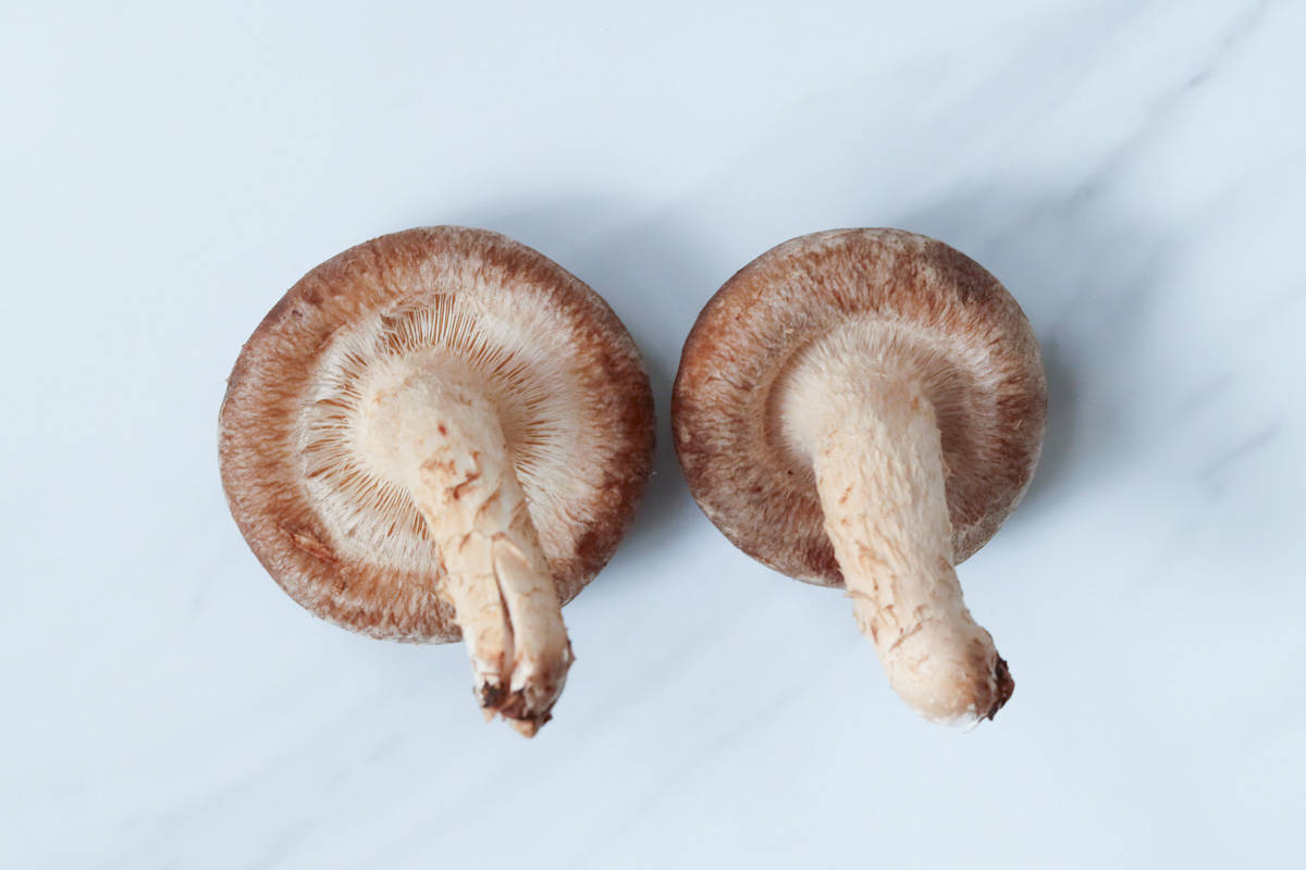 good quality shiitake mushrooms