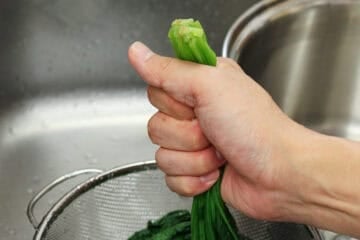 spinach gomaae-_instruction-2