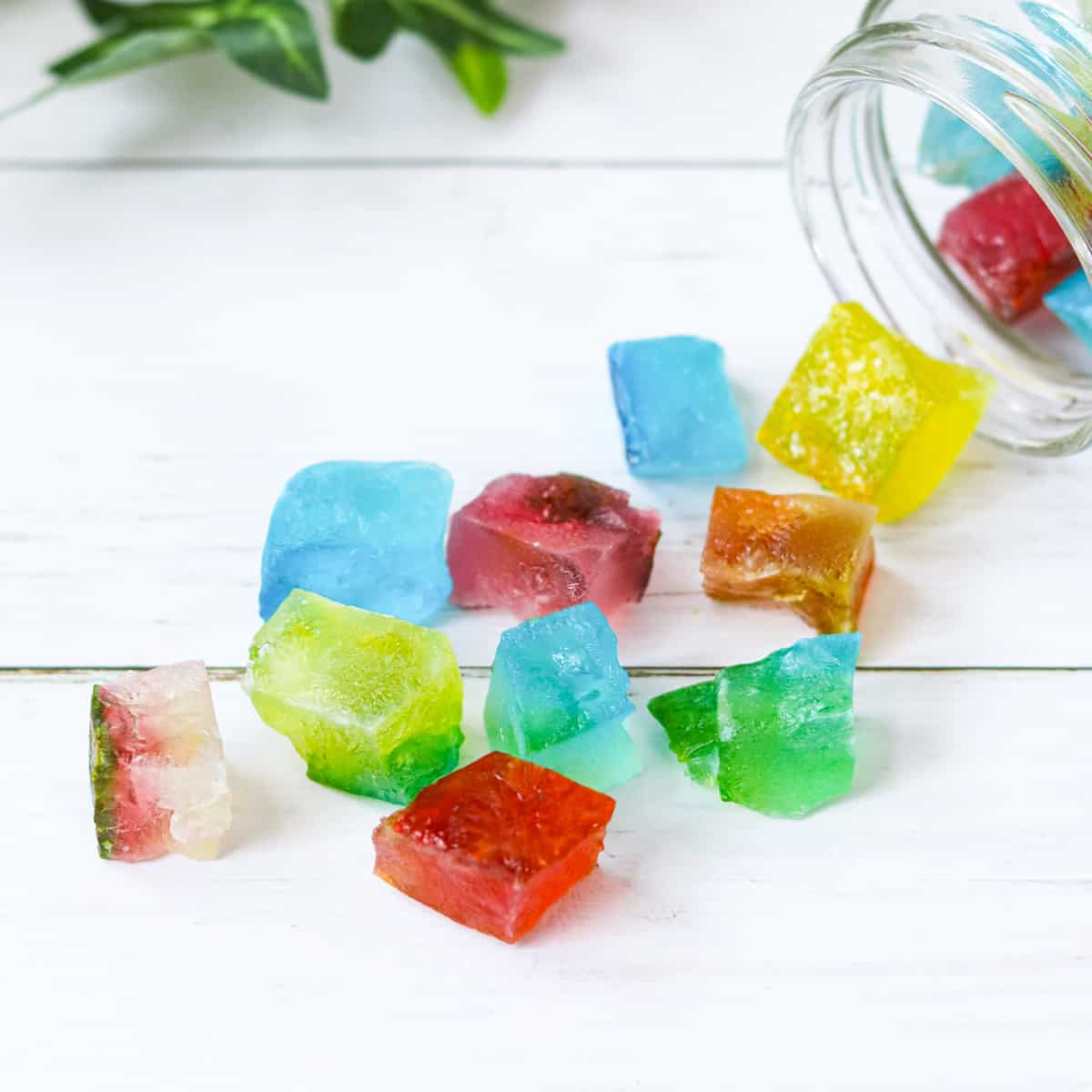 Crispy Dried Agar Jelly Candy - Messy Vegan Cook