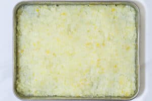 yuzu sorbet_instruction-4