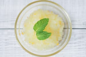 yuzu sorbet_instruction-5