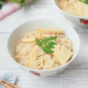 Takenoko Gohan (Japanese bamboo rice)