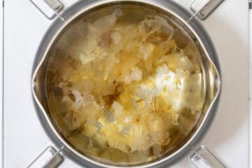 Japanese onion soup_instruction-1