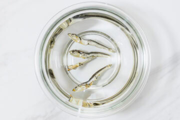 anchovy dashi_instruction: cold brewing method-1