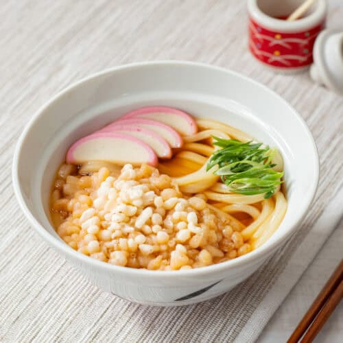 Tanuki Udon - Umami Pot