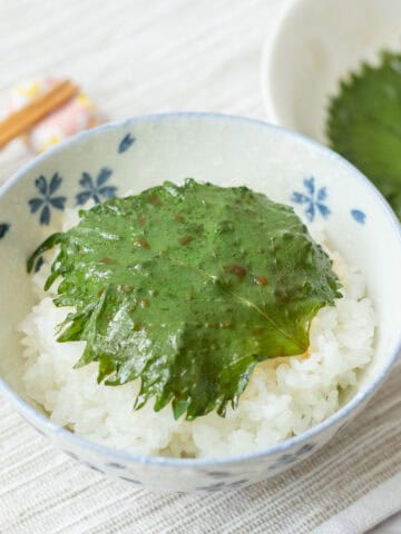 Japanese Pickled Shiso (Perilla) Leaves in Soy Sauce