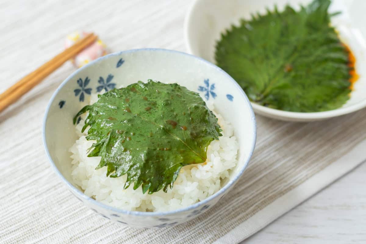 Japanese Pickled Shiso (Perilla) Leaves in Soy Sauce