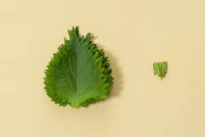 pickled shiso leaves in soy sauce_instruction-1