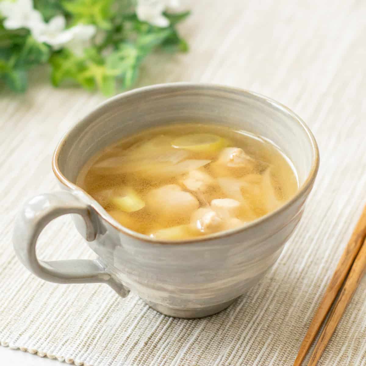 Japanese Chicken Soup