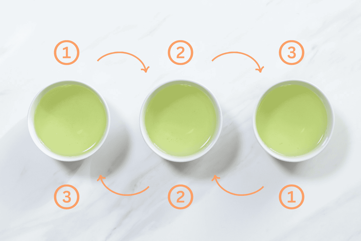 sencha_instruction-3