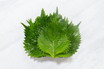 green shiso juice_instruction-1