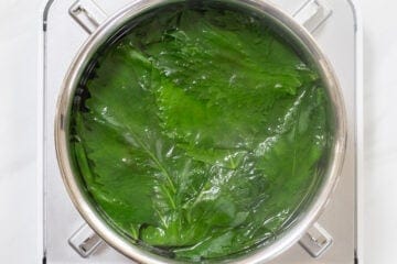 green shiso juice_instruction-2