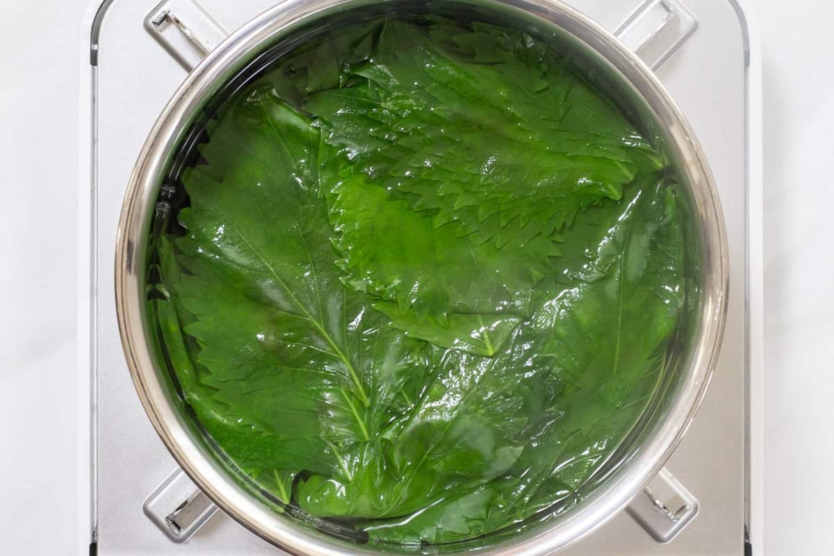 green shiso juice_instruction-2