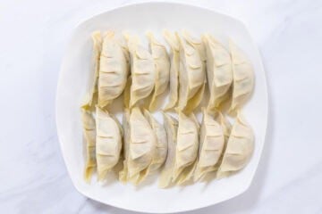 gyoza_instruction-5