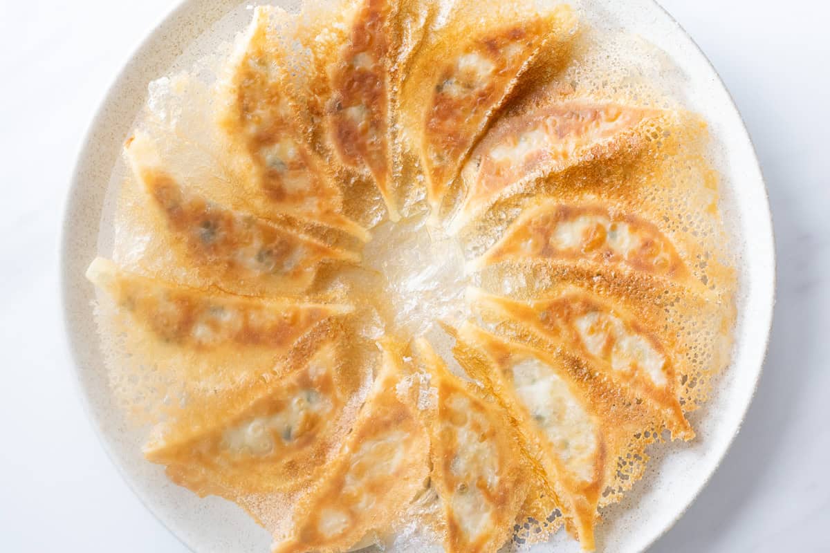 hanetsuki gyoza (gyoza with crispy wings)