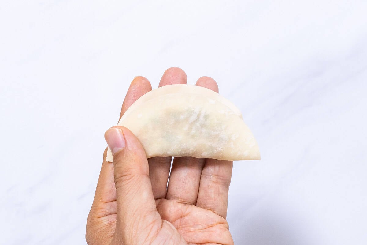 how to wrap gyoza-4