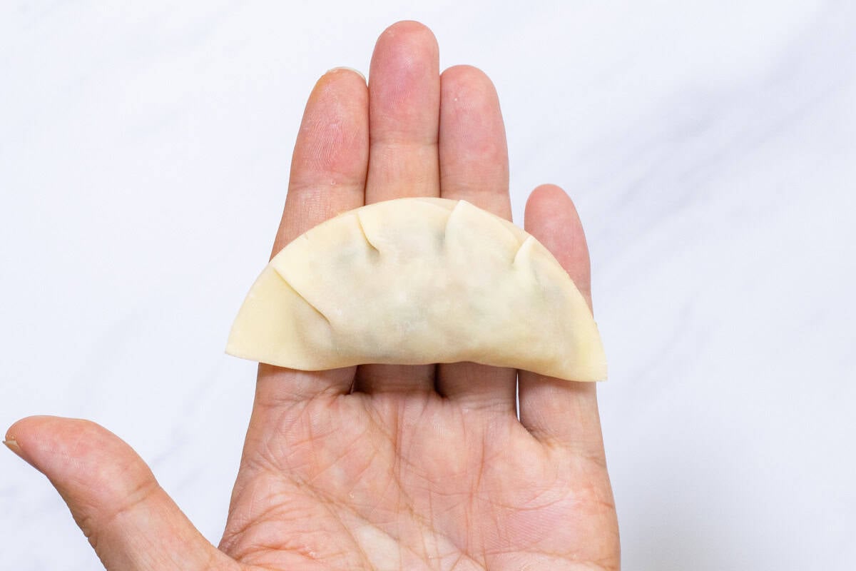 how to wrap gyoza-7