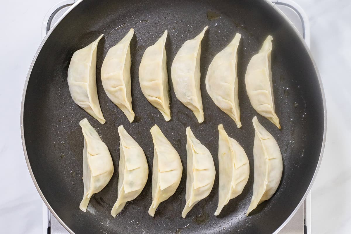 line up the gyoza