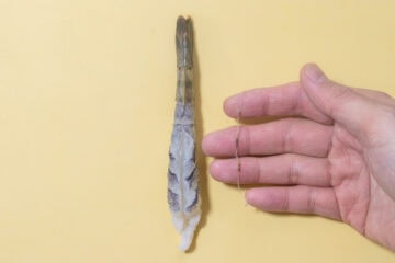 ebi fry_instruction-1