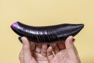 eggplant agebitashi_instruction-2
