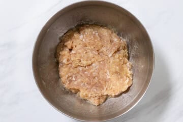 tsukune_instruction-2