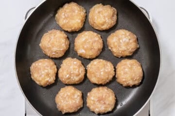 tsukune_instruction-4