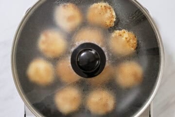 tsukune_instruction-5