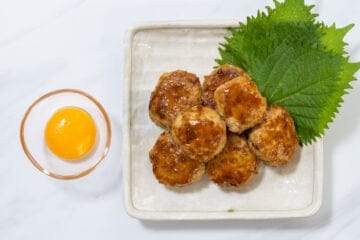 tsukune_instruction-7