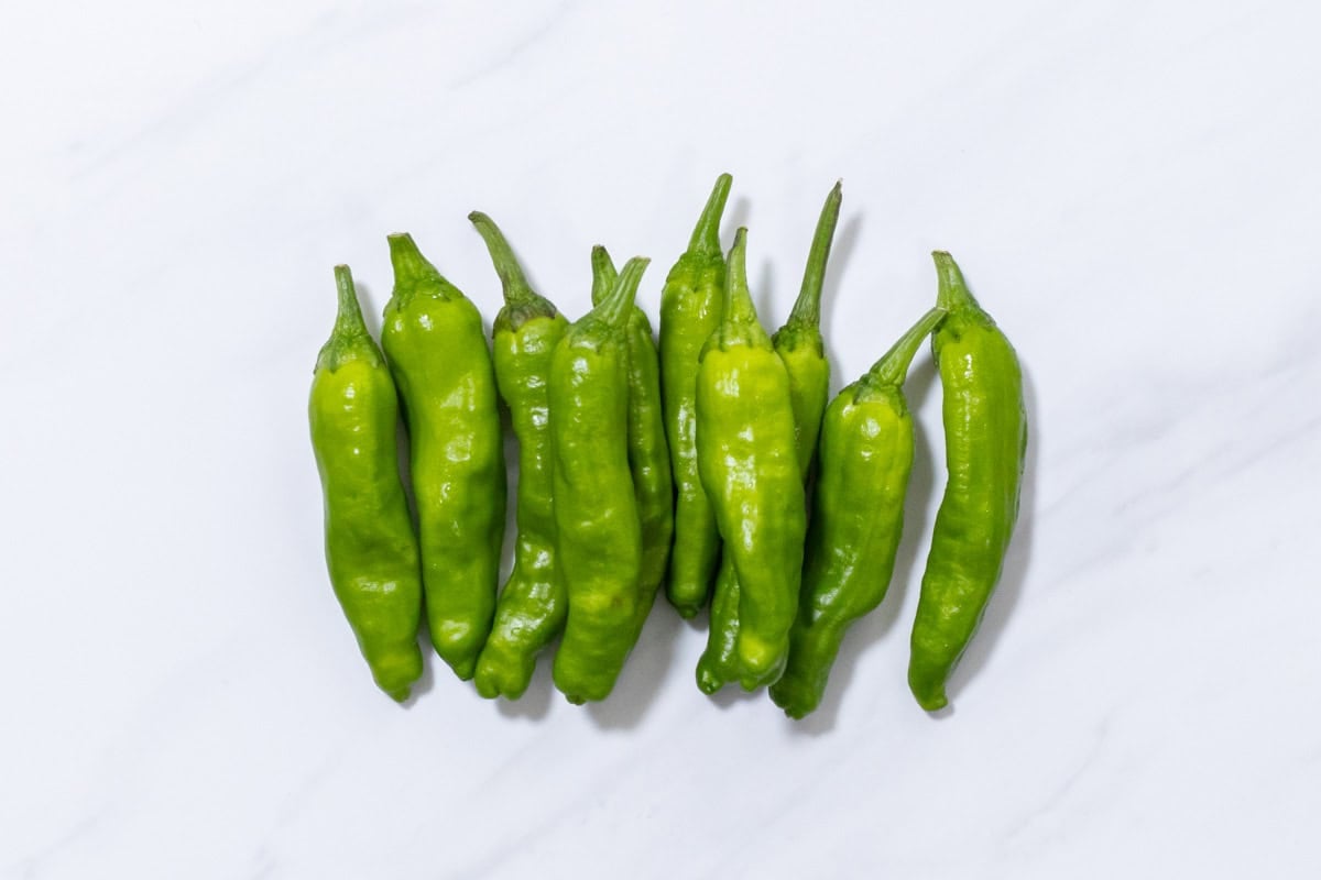 shishito peppers